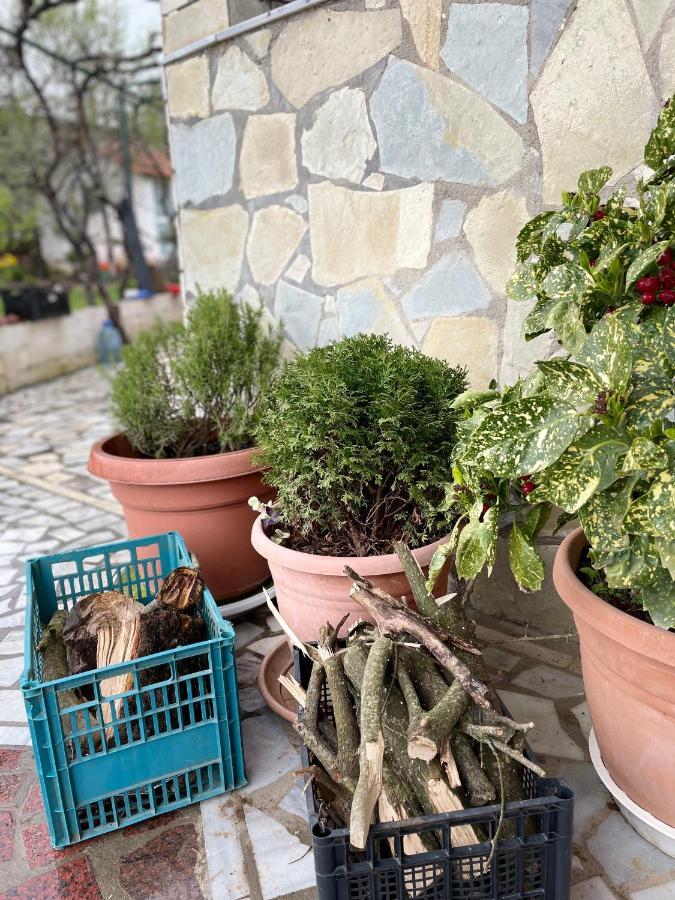Kasaj Villa Gjirokaster Ngoại thất bức ảnh