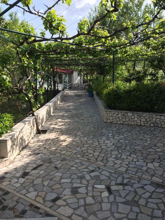 Kasaj Villa Gjirokaster Ngoại thất bức ảnh