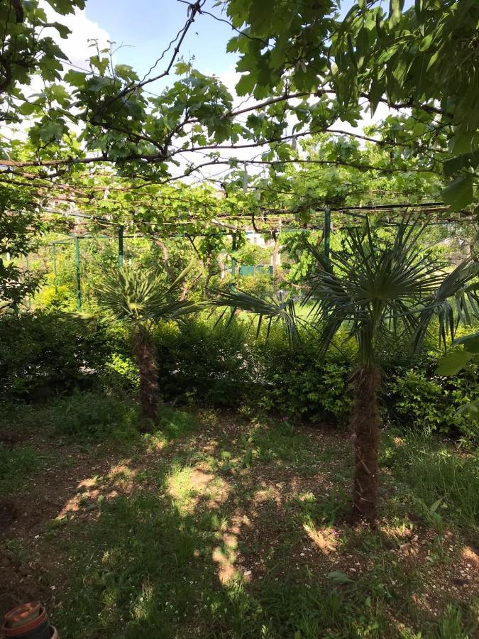 Kasaj Villa Gjirokaster Ngoại thất bức ảnh